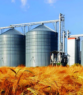 Зерновой запас страны: дефицит хранилищ в России
